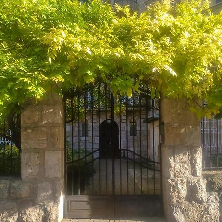 Parkside Large Modern Garden View Apartment Budapeste Exterior foto